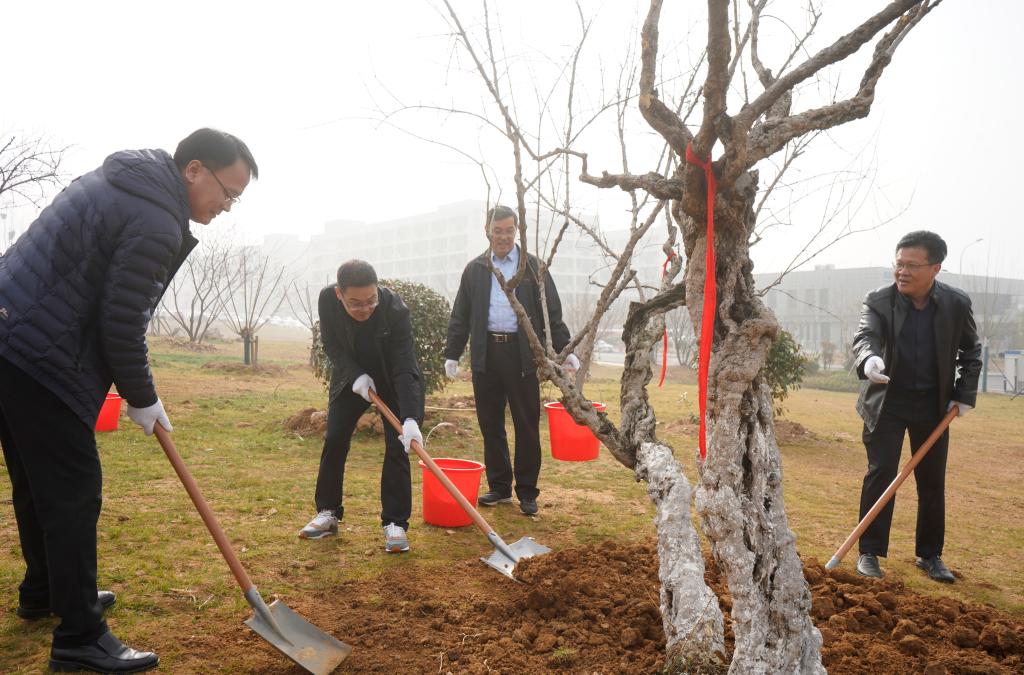 20250312植树7.JPG